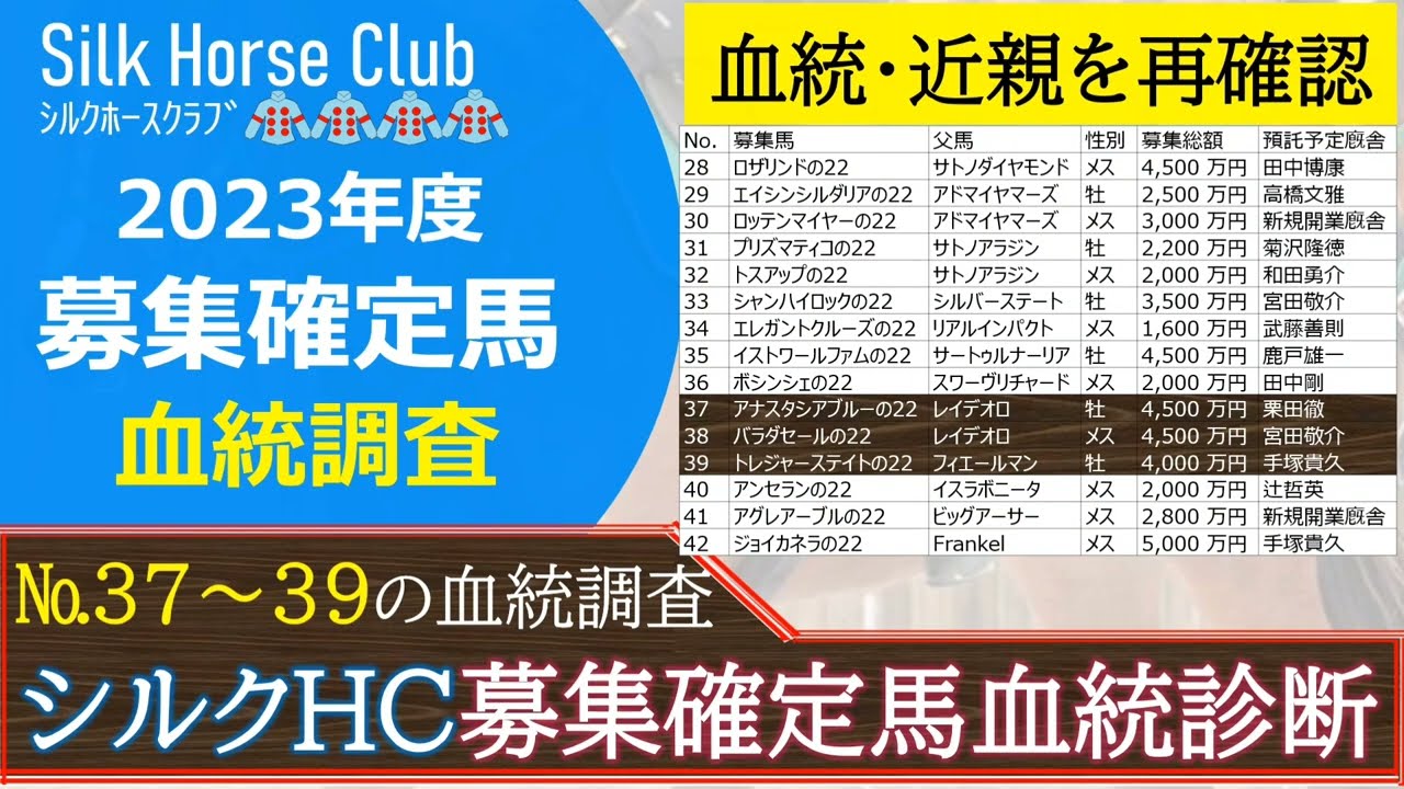【一口馬主】シルク募集馬！新種牡馬フィエールマン産駒で兄は重賞馬ピースオブエイト「トレジャーステイトの２２」に注目！