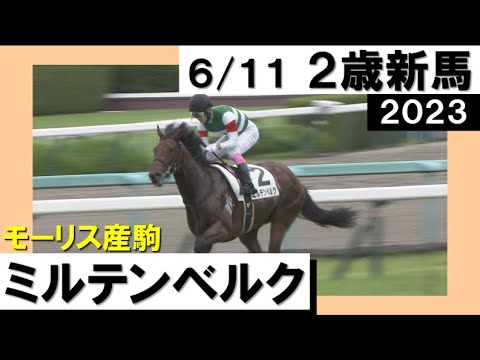 「モーリス産駒ミルテンベルク完勝です！」実況：川島壮雄【カンテレ公式】2023年新馬戦