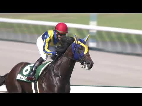 【中京記念・GⅢ】レース映像