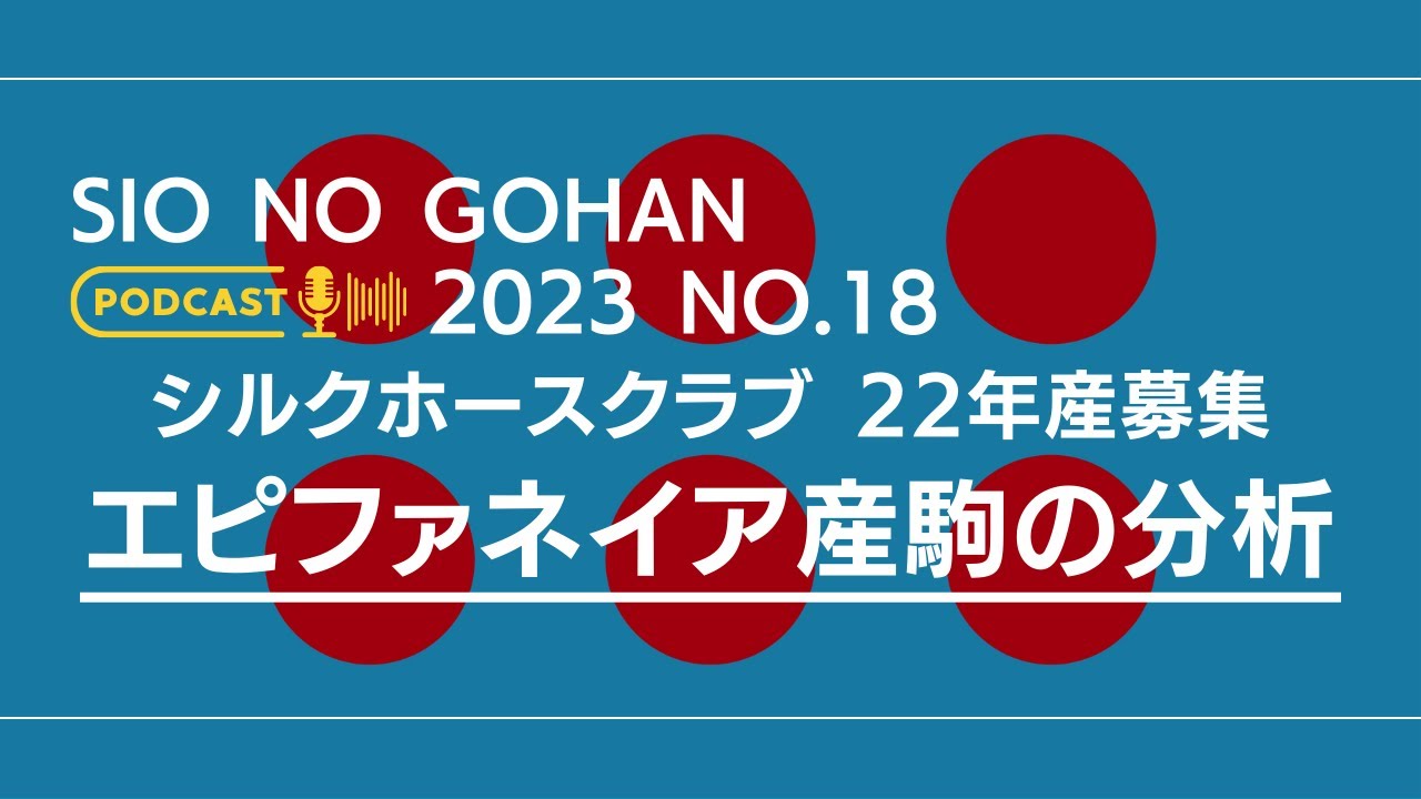 【一口馬主】シルクHC 2022年産一次募集　エピファネイア産駒5頭の分析【ゆっくり動画】