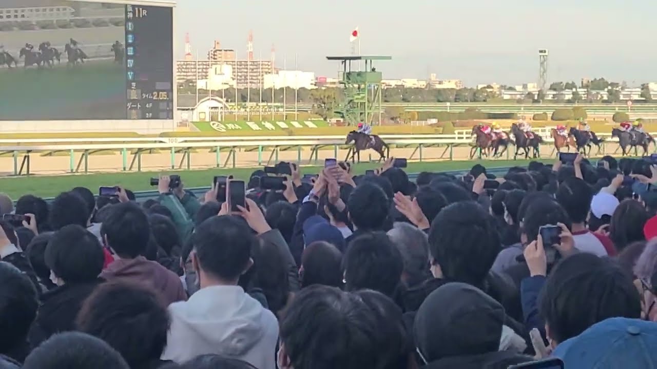 京都記念 2023 現地の光景 阪神競馬場にて