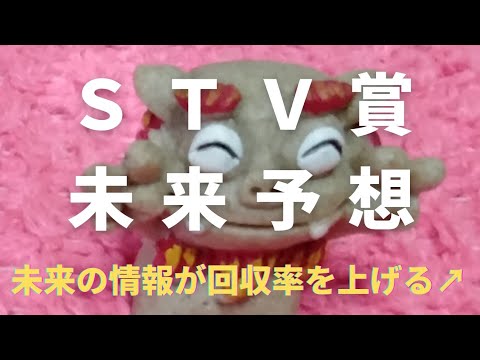 【ＳＴＶ賞】未来予想！未来の情報が回収率を上げる↗