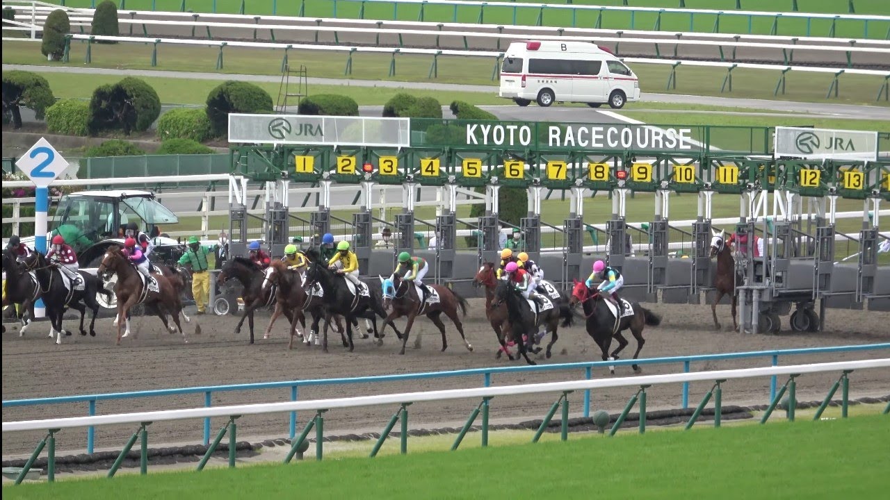 【天皇賞(春)2023】day 1レースで大・大・大出遅れした⑪ペイシャメガミ 現地映像