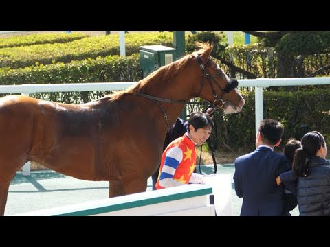 【武豊】善戦続きもなかなか勝てなかったサトミノマロン、5戦目で騎乗初勝利！