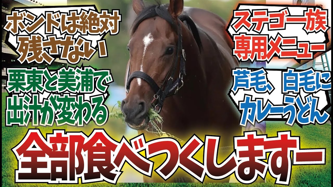「ここは競走馬専用の食堂です」に対するみんなの反応集