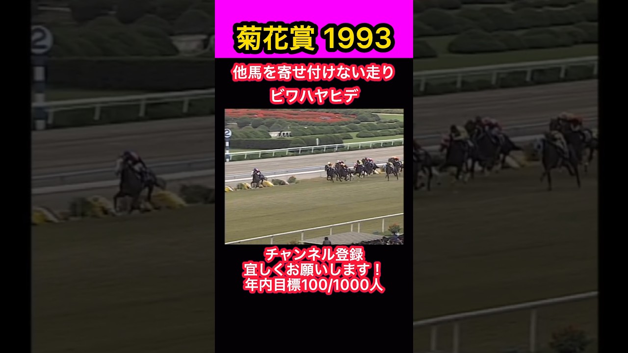 【競馬】菊花賞1993、他馬を寄せ付けない走り、ビワハヤヒデ #shorts #short #ビワハヤヒデ #菊花賞 #競馬