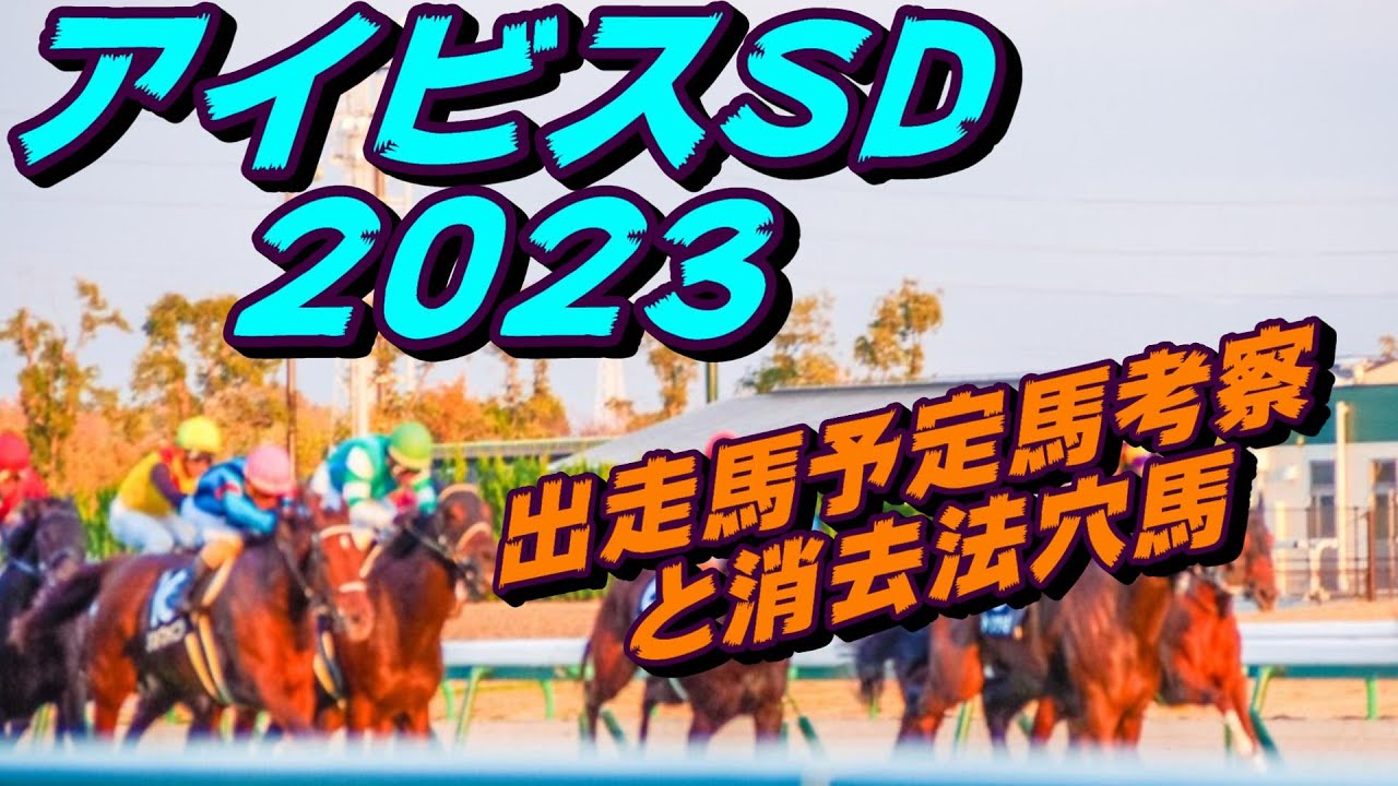 【アイビスサマーダッシュ2023】出走馬予定馬データ分析と消去法予想