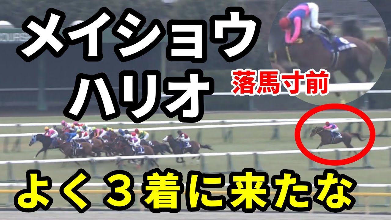 【フェブラリーS】メイショウハリオ  落馬寸前から3着へ
