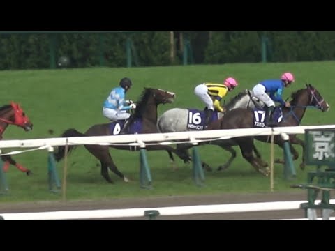 【現地】アフリカンゴールドの後退に巻き込まれそうになるメロディーレーンちゃん【2023 天皇賞春】