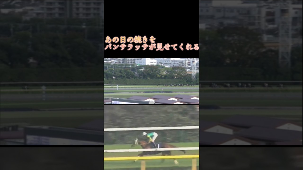 パンサラッサ～あの日の続きを。#競馬 #天皇賞秋 #矢作調教師 #吉田豊 #サイレンススズカ