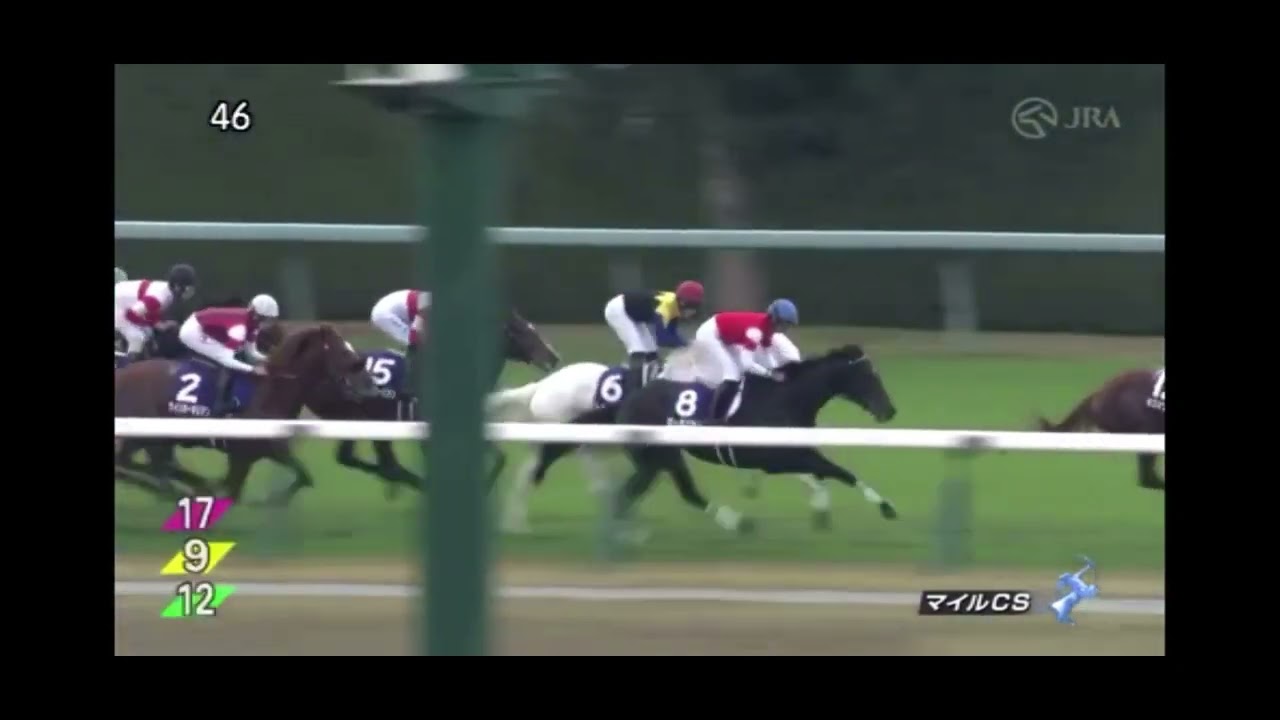 マイルCS　的中なるか？