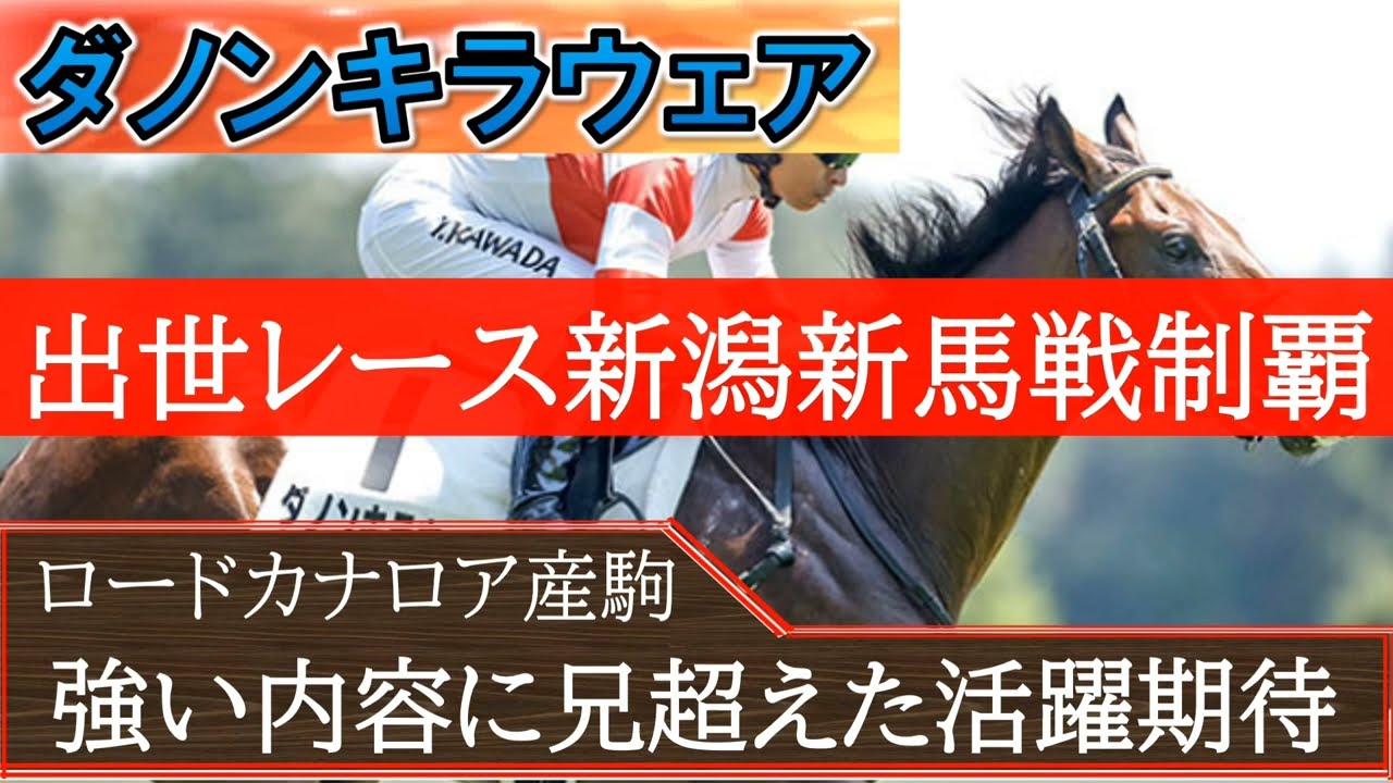 【注目新馬勝ち】出生レース新潟新馬戦を圧勝！「ダノンキラウェア」余裕の勝利に大物感漂う☆