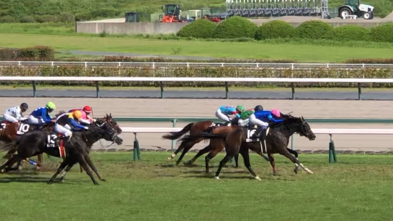 【現地】サマートゥリスト 坂井瑠星 2023 豊明S
