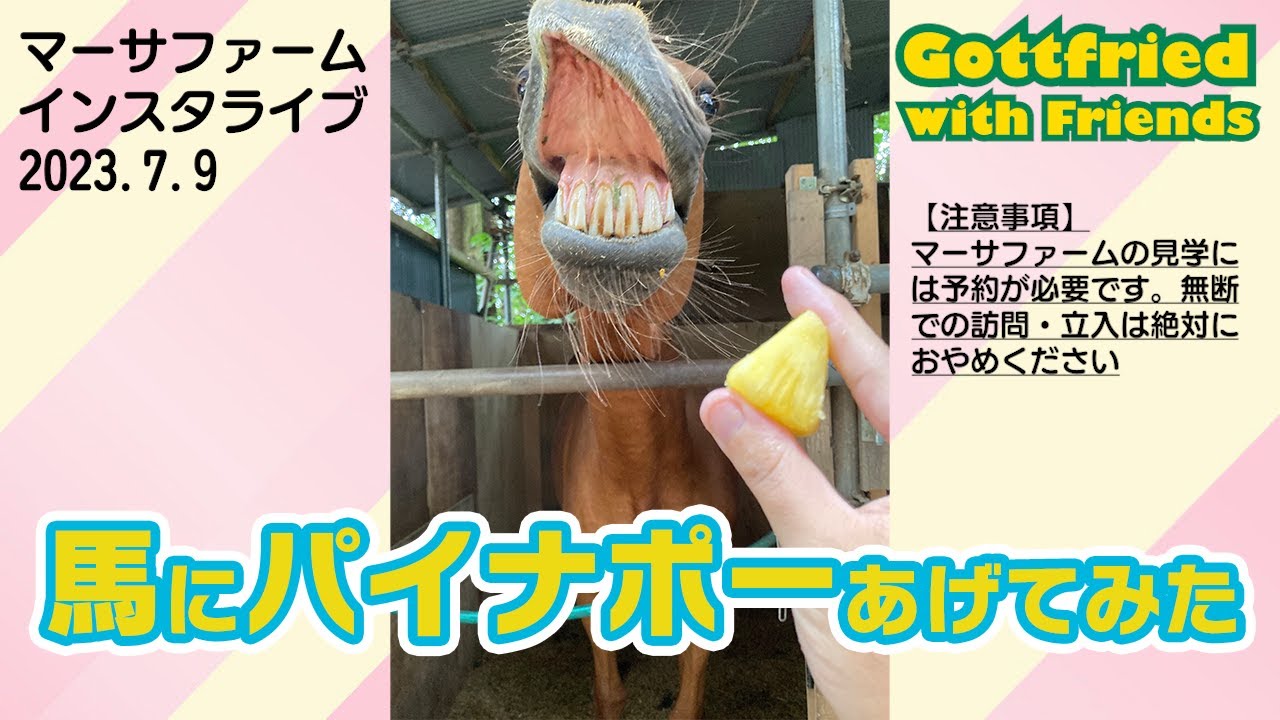 マーサファームインスタライブ【2023月7月】