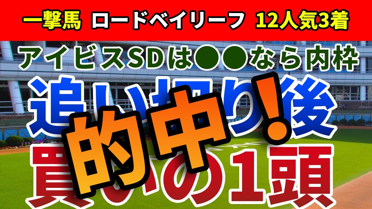 アイビスサマーダッシュ2023 追い切り後【買いの1頭】公開！内枠から激走した馬に共通する条件は？枠不問で期待できるまさかの馬は…