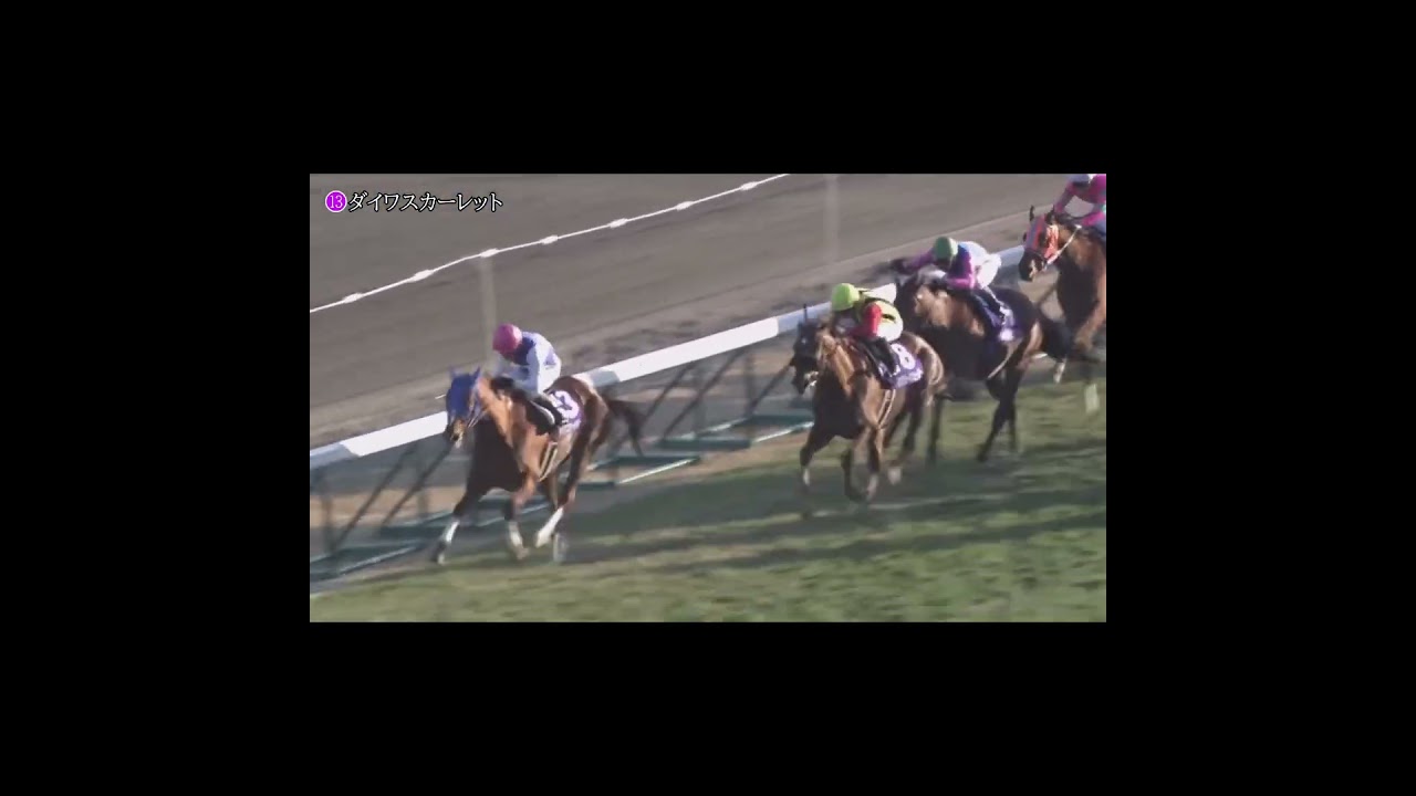 37年ぶり有馬記念制覇『ダイワスカーレット』引退レース