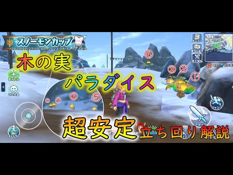 木の実大量！！上位ランカーのスノーモンカップ超安定立ち回り解説！！！