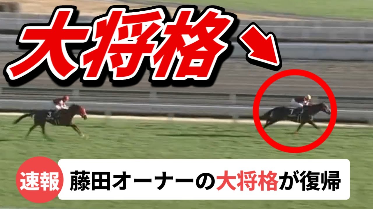 「ウマ娘 藤田オーナーの大将格が復帰」「初ダートで衝撃の大差勝ち」など７月４週のUMA NEWS #ウマニュース