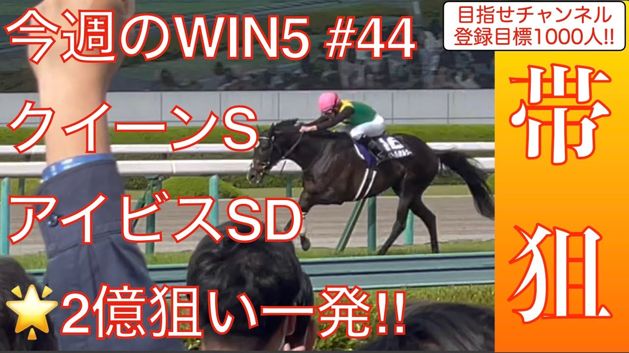 【WIN5】日曜競馬徹底予想　クイーンS、アイビスSDほかWIN5全レースを徹底分析❗️