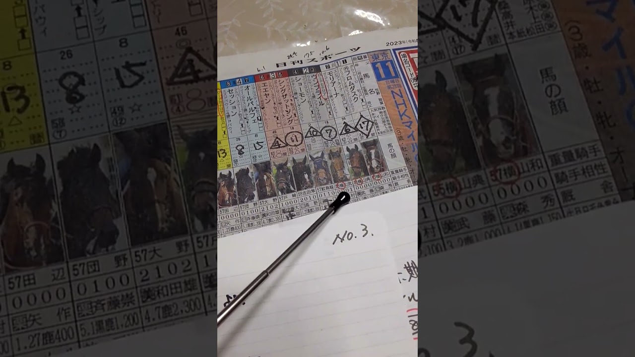NHKマイルC2023サイン解読、最終結論、波乱or静寂のどちらだ⁉️tansunikanegon😎