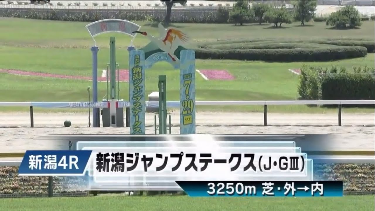 第25回新潟ジャンプステークス(J･GⅢ)