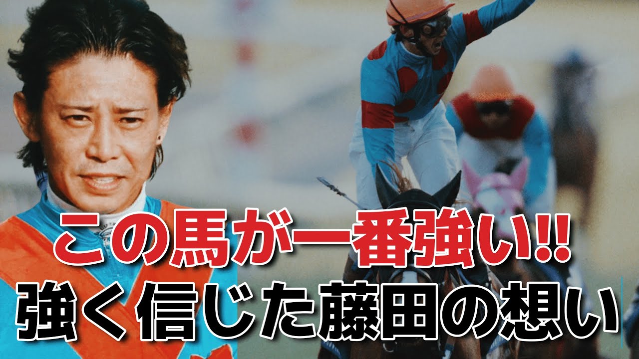シルクジャスティス　#競馬 #ウマ娘 #有馬記念