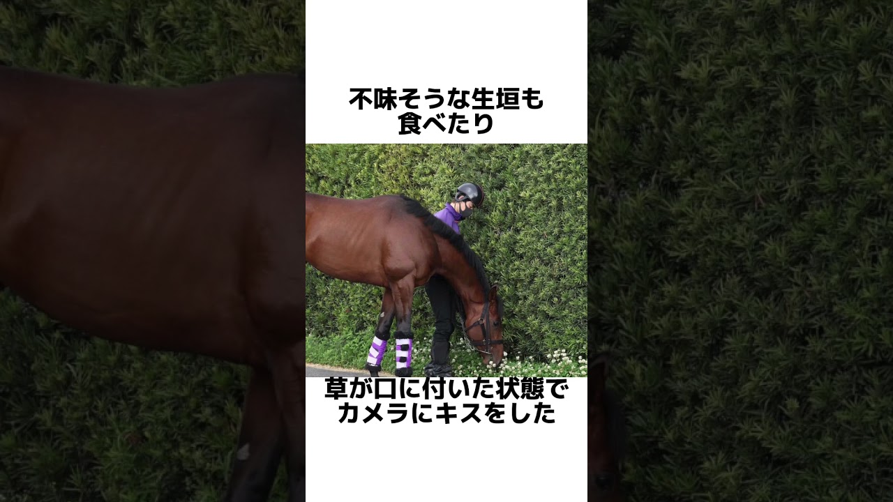 【お馬の雑学】ドウデュース