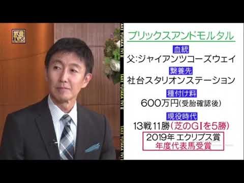 武豊TV II 143 「フェブラリーSプレイバック」2023年7月31日