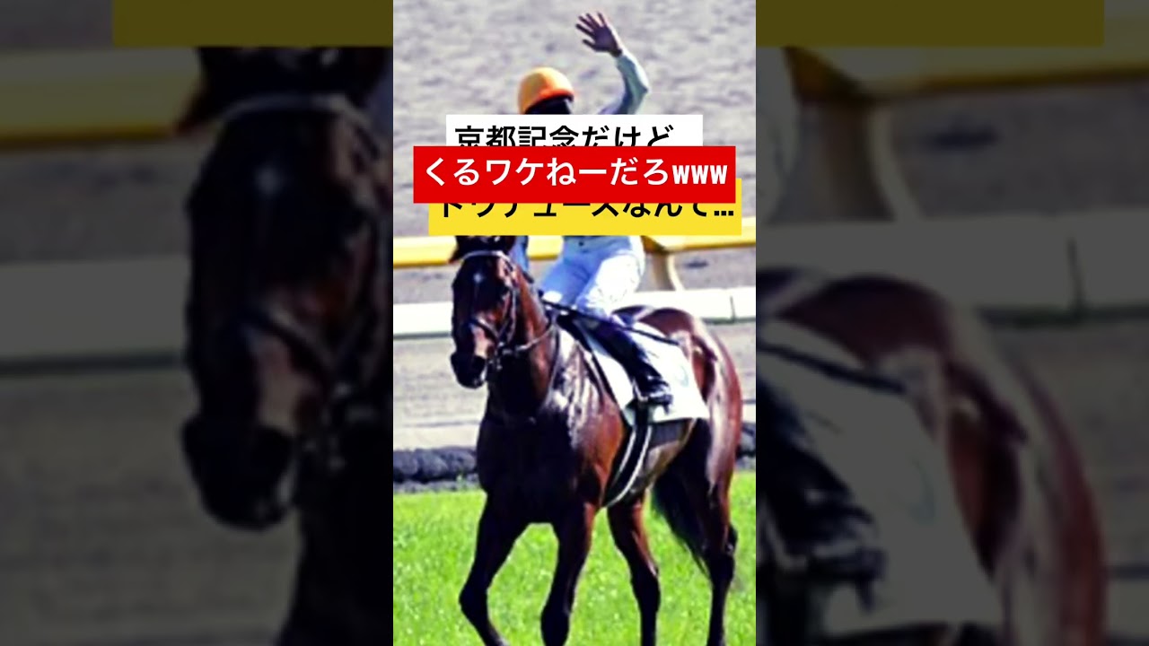 京都記念だけどドウデュースなんてくるワケねーだろwww #競馬 #京都記念 #競馬予想