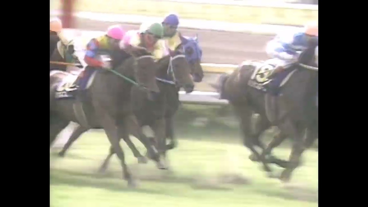 ダイイチルビー 1990年 第51回優駿牝馬(オークス)(GI) (優勝馬：エイシンサニー)