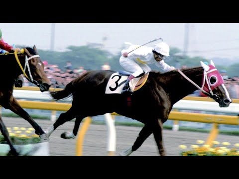 第４８回　東京優駿（日本ダービー）　カツトップエース　牡３　57　大崎昭一　1981.5.31　　出走馬：サンエイソロン、コーラルシー、ハシノエース、ホクトオウショウ、カシワクラッセ、ミナガワマンナ他