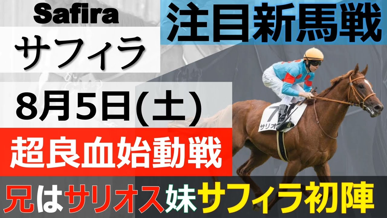 【新馬戦注目馬】8月5日(土) 兄はサリオス超良血馬始動戦☆「サフィラ」能力は間違いなし、どんな勝ち方をするかに注目か！