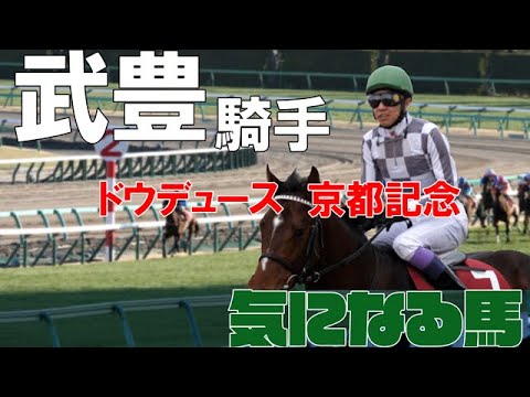 【武豊】京都記念ドウデュースに死角ナシ！今週は土曜日5鞍、日曜日8鞍！ロンの復帰3戦目、昨年3歳の一線級で戦ってきたリューベック、南井克巳師との口取りを！メイショウミカワなど期待馬目白押し