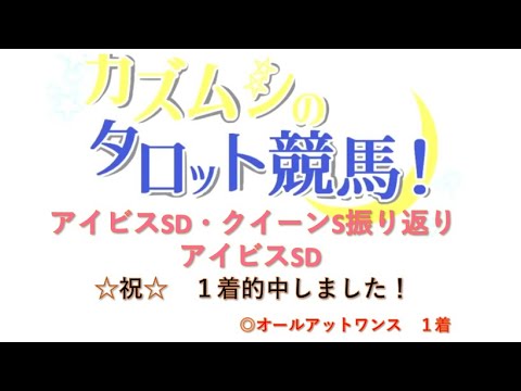 2023年アイビスSD・クイーンS振り返り　祝　１着的中しました　祝