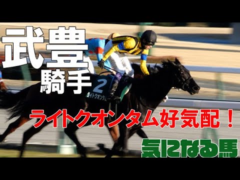 【武豊】今週末は札幌で土曜4鞍、日曜8鞍！クイーンステークスのライトクオンタムは追い切りで好タイム！