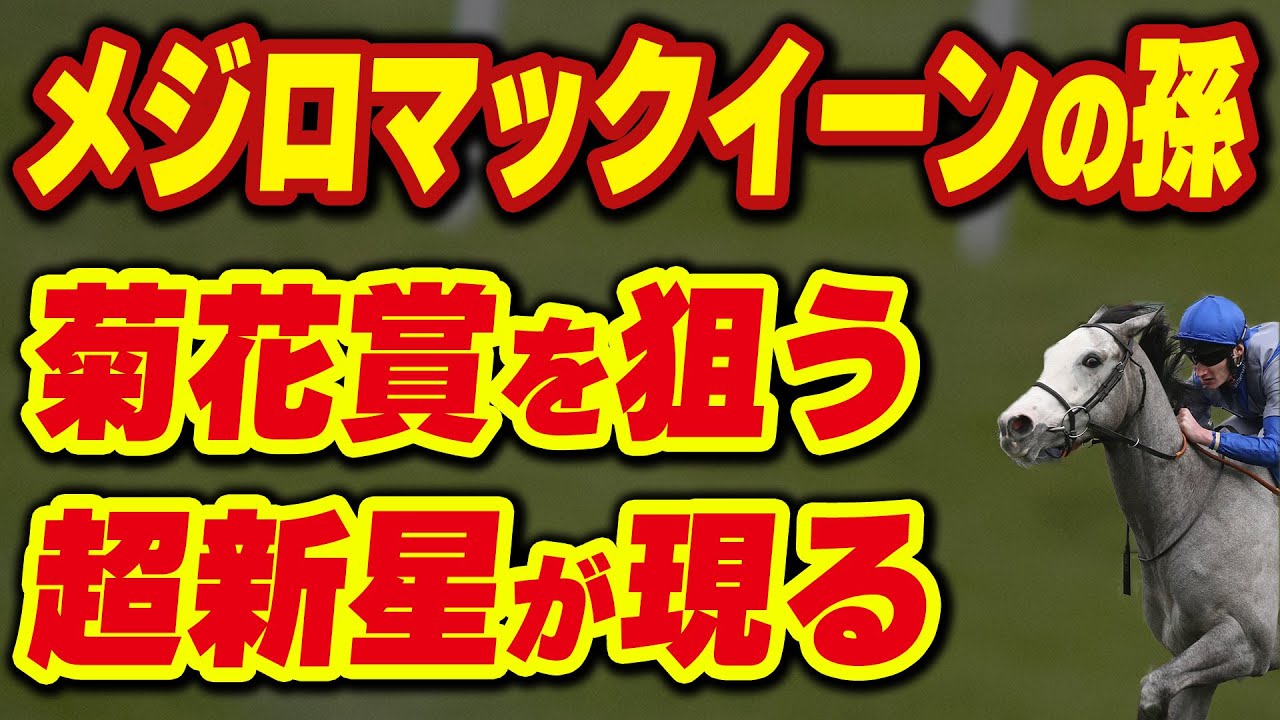 【メジロマックイーンの孫】菊花賞を狙う超新星が現れる