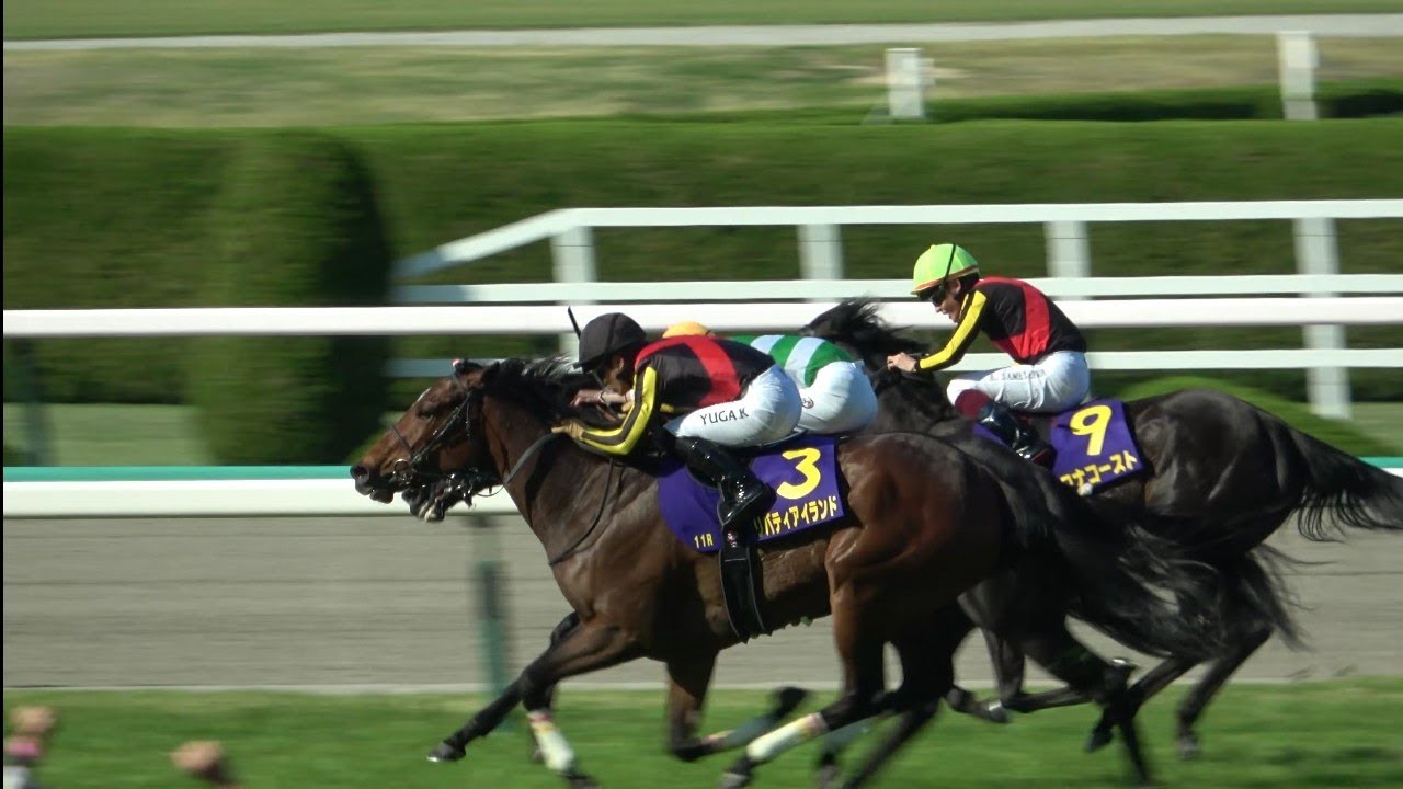 【桜花賞2023】 同郷の川田将雅と鮫島克駿が握手 ウィニングラン 現地映像 リバティアイランド