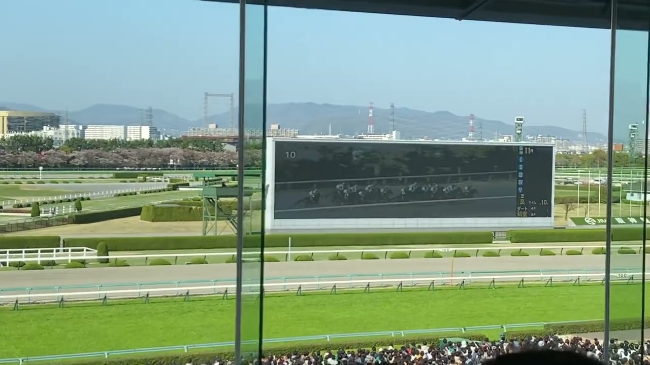 第83回 桜花賞 (GⅠ) 2023年4月9日(日) 阪神競馬場 - 現地映像