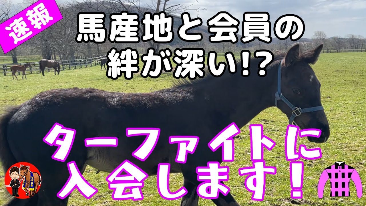 【雰囲気最高‼️】ターファイトクラブってどんなクラブ？？あの高級種牡馬の仔に出資して楽しむぜ！