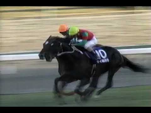 第32回 スプリンターズステークス G1 （1998/12/20・中山） マイネルラヴ