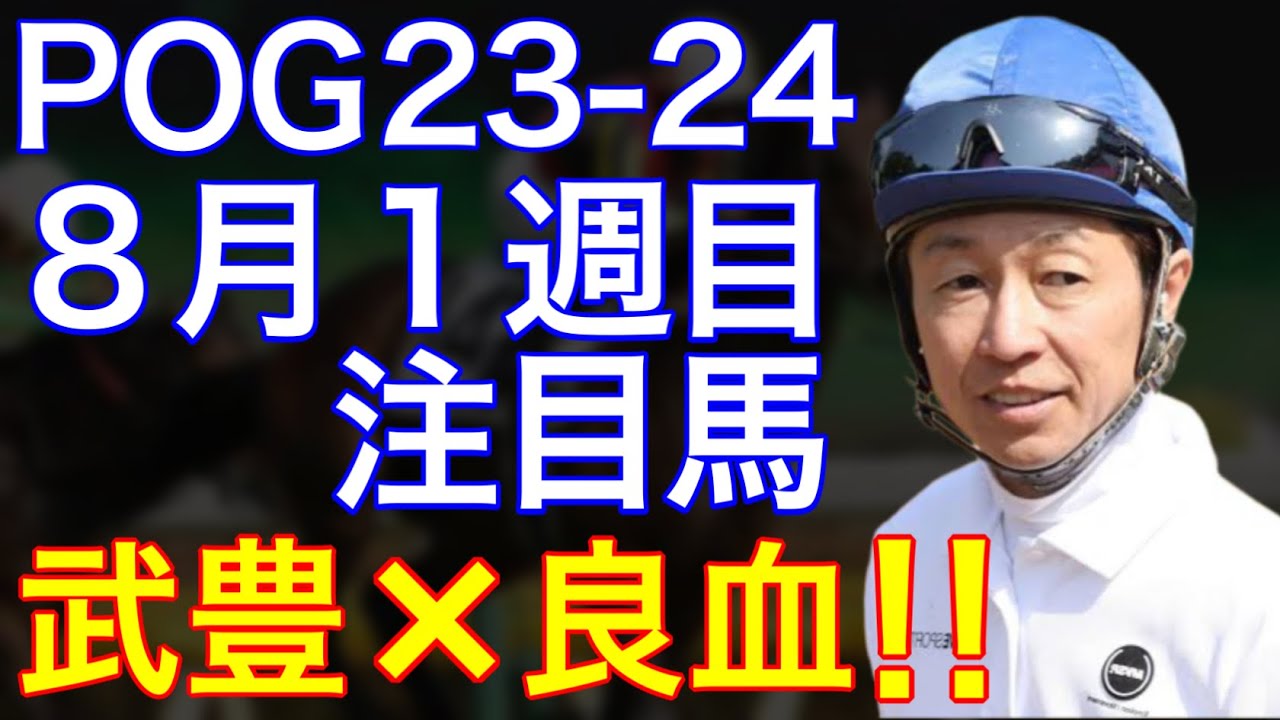 【POG/23-24】８月１週目デビューの注目新馬を紹介【武豊×良血ドゥラメンテ産駒が札幌に登場！！】