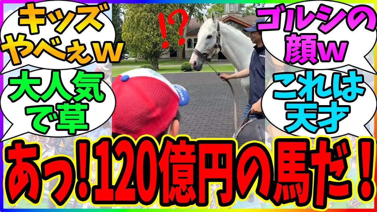 『ゴールドシップ、キッズに「120億円事件」と呼ばれるｗｗｗ』に対するみんなの反応【ウマ娘プリティーダービー】