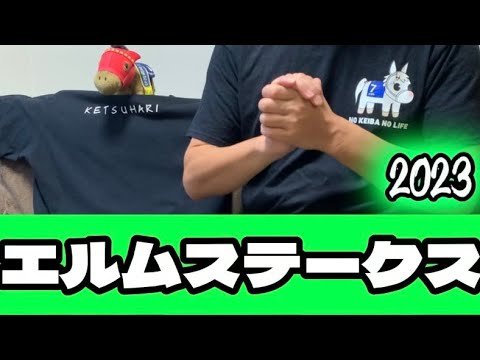 エルムステークス2023 / 予想‼︎ 【めめ家/おめめ競馬】