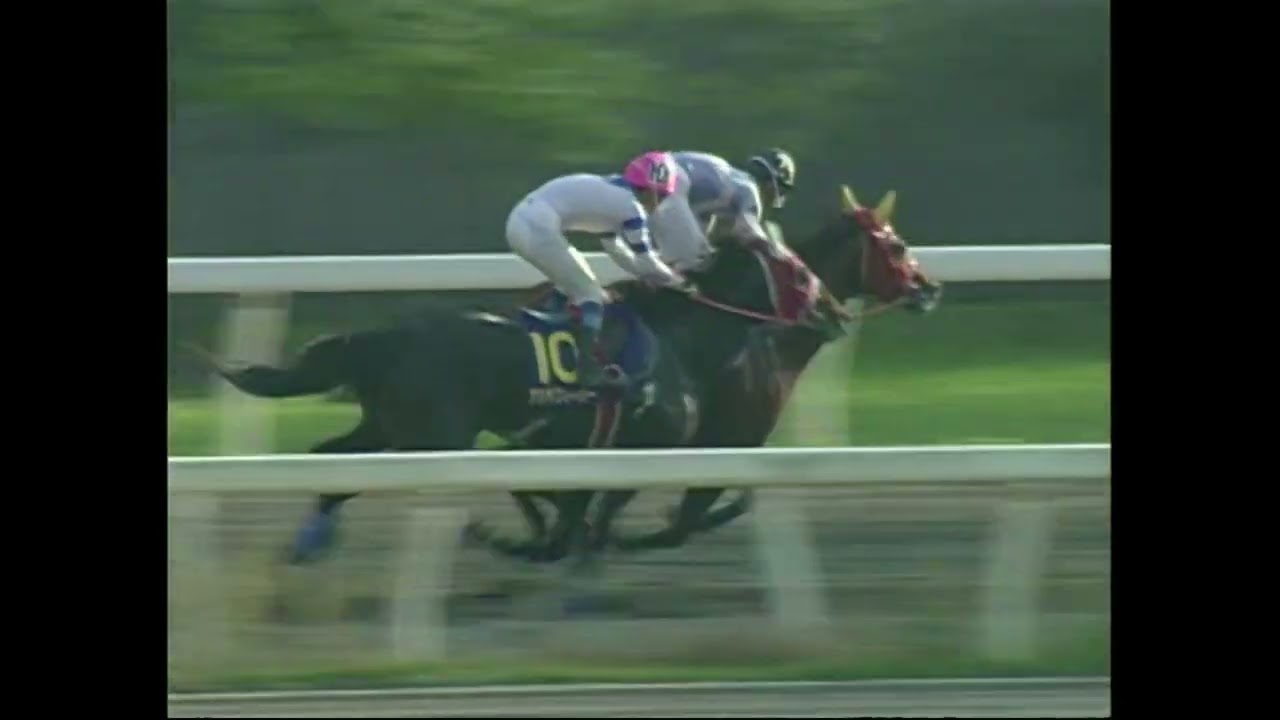 1998年11月8日　第17回南国菊花賞