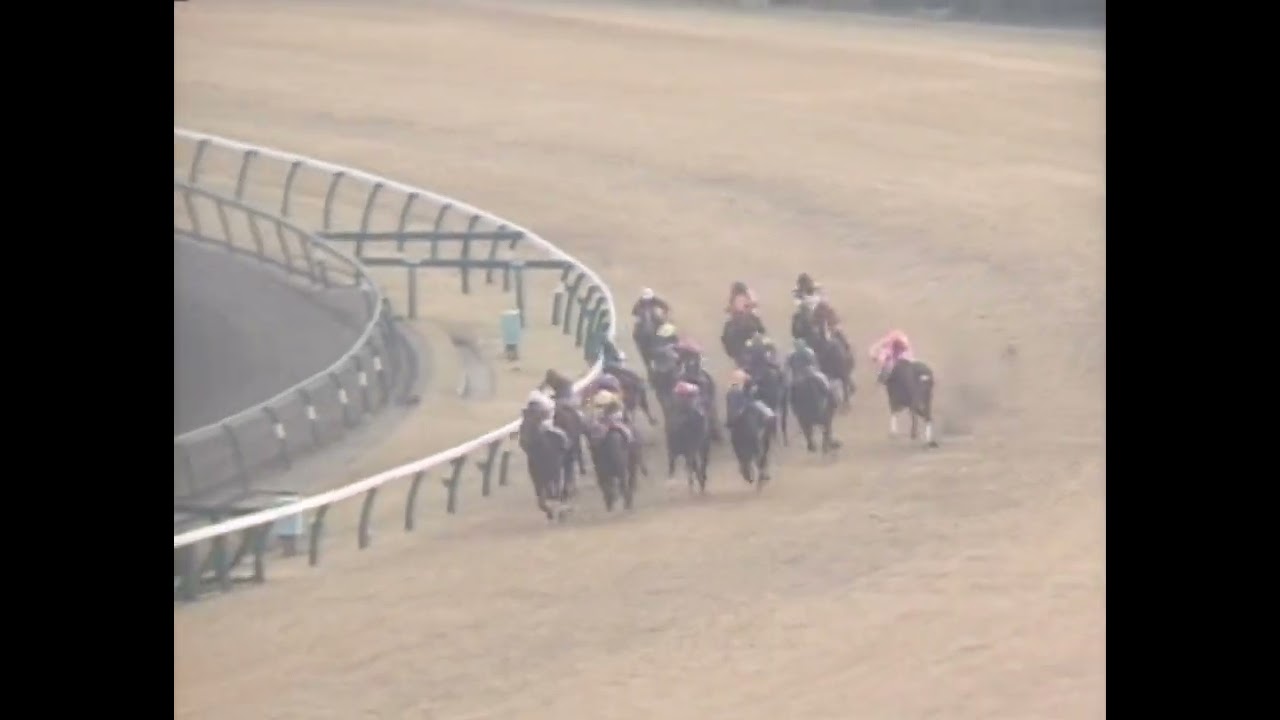 ダイイチルビー 1991年  第25回スプリンターズステークス(GI) (優勝馬：ダイイチルビー)