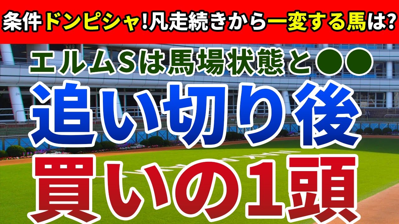 エルムステークス2023 追い切り後【買いの1頭】公開！馬場と世代レベルを考察するとアノ馬一択！大敗から巻き返しを図るまさかの一頭とは？