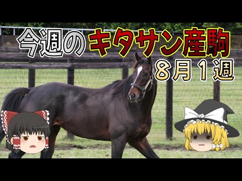 【競馬】今週のキタサン産駒　8月1週