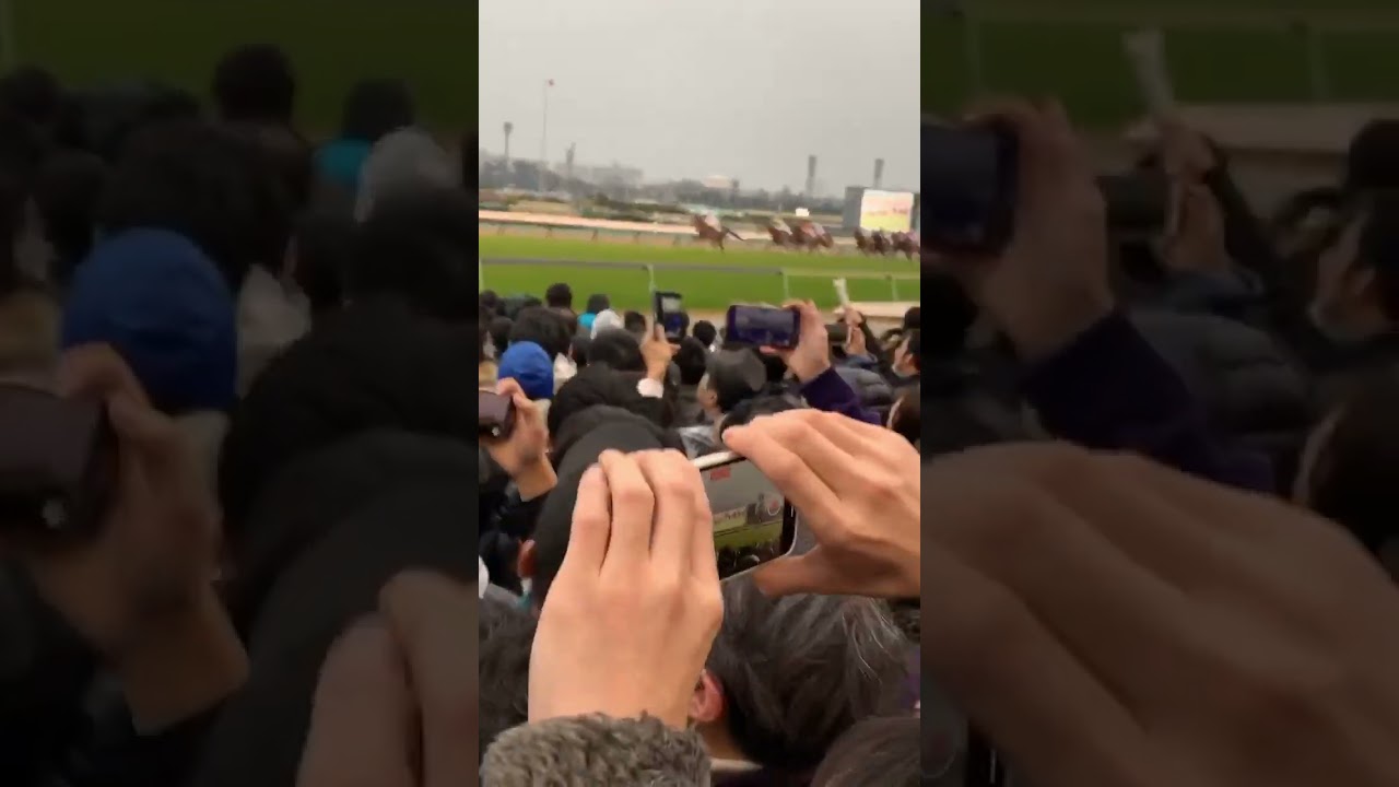 有馬記念2019#short#有馬記念#有馬記念2019#リスグラシュー#アーモンドアイ#ワールドプレミア#サートゥルナーリア#中山競馬場