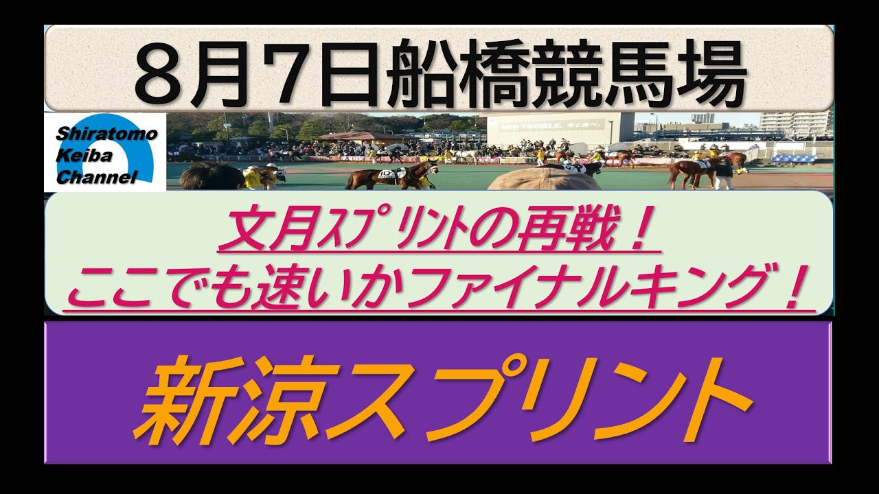 【競馬予想】新涼スプリント　文月ｽﾌﾟﾘﾝﾄの再戦！～２０２３年８月７日 船橋競馬場 ：８－８