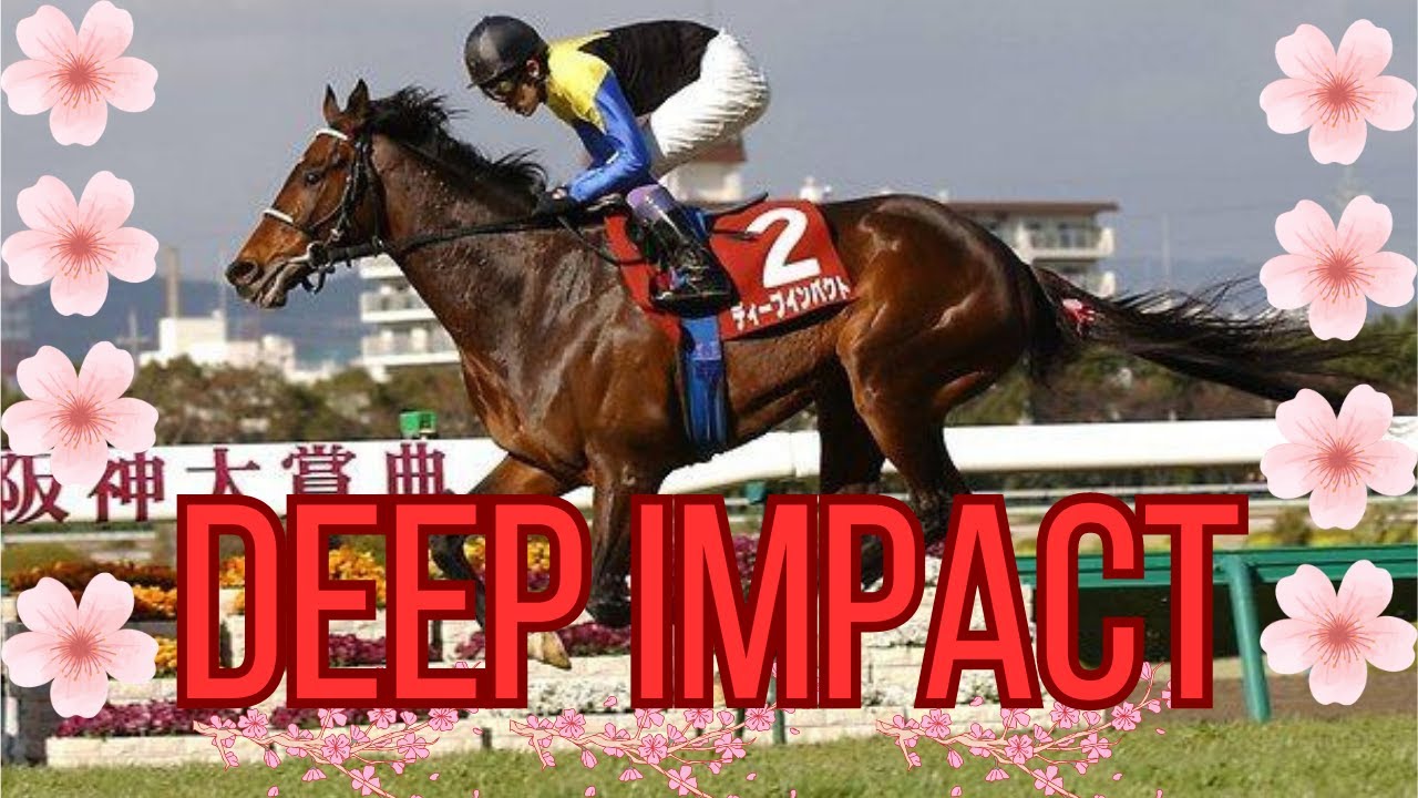 The story of the people's hero Deep Impact (ディープインパクト)